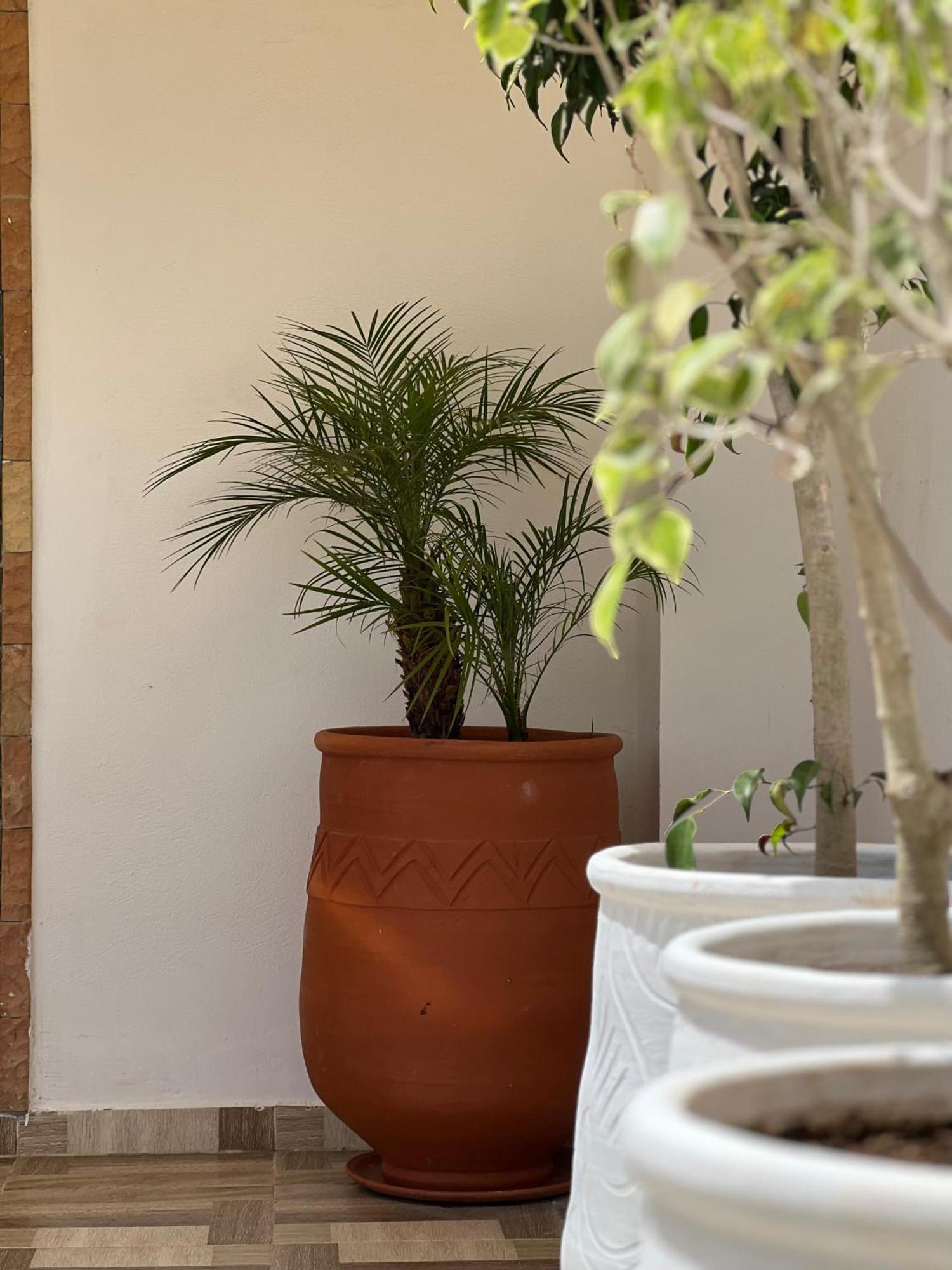 Riad Safia Rabat Exterior foto